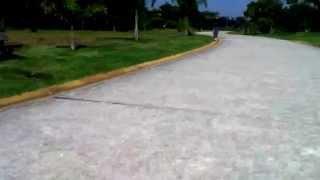 Villa Lobos patins skorpion roller skates quadline