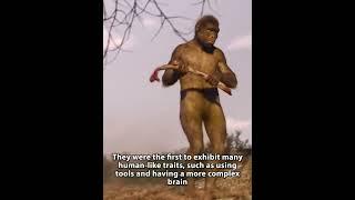 World History Chapter 1 Part 2: Homo Habilis | PREHISTORY