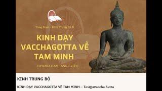 KINH DẠY VACCHAGOTTA VỀ TAM MINH – Tevijjavaccha Sutta #Zencoffee