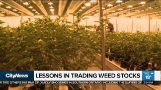 Weed stock lessons from a rookie and a pro