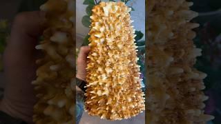 А вы пробовали Шакотис Как вам цена? #обед #сладкое #вкусно #торт #минск