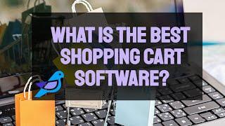 What is the Best Shopping Cart Software? #Mintbird