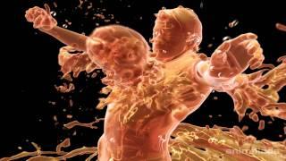 Gatorade Football - Animalada Studios