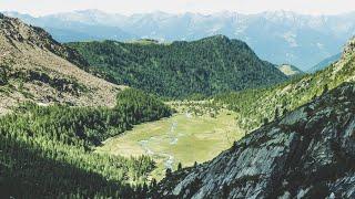 Soaking up the spring vibes (Nature Visualizer)