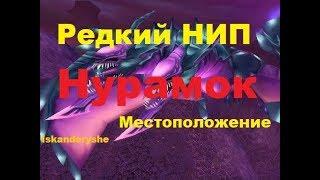 Редкий НИП - "Нурамок" - Местоположение.