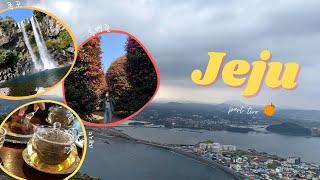 Jeju Travel Vlog part two | waterfalls, cafes, camellia flowers | February | 제주도 여행 브이로그 ~ 이월