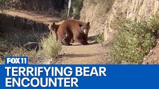 Woman faces off with bear on Southern California hiking trail