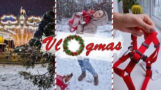 VLOGmas: Прогулка в Снегопад, Распаковка Зимней Амуниции и Новогодний Парк | Darina Sweet