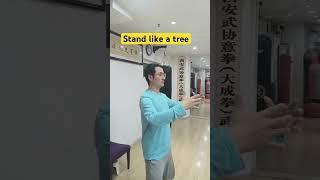 YiquanPark.com #zhanzhuang #health #yiquan