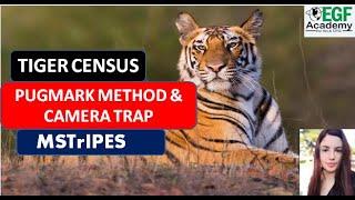 Tiger Census l Census Methods l Pugmark Method l Camera Trap l MSTrIPES