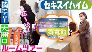 【ルームツアー】ストレスフリーな家づくり【セキスイハイム】