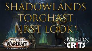 WoW Shadowlands Torghast Tower of the Damned First Look!