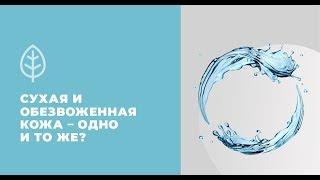 Сухая и обезвоженная кожа одно и то же?