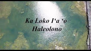 Ka Loko Iʻa ʻo Haleolono- Episode 2: How was the Hawaiian Fishpond system created?