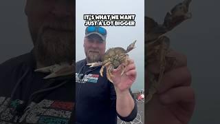Godzilla crab: Crabbing for Fried Crab Legs with Chef Dad