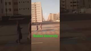 Madina University...#shorts #madina #shortvideo #jamia