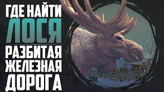 WHERE TO FIND MOOSE (BROKEN RAILROAD) | THE LONG DARK