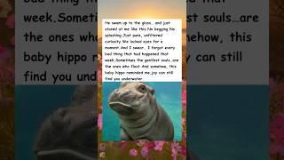 Hippo Makes Man Day Better! #wholesome #hippo o