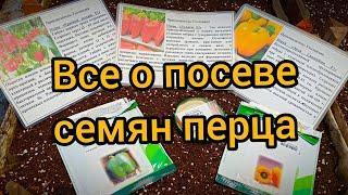 Посев сладкого перца. Проверенные семена!