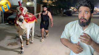 LAST DAY MERI COW OUT OF CONTROL HOGYI  | SYED FAHAD