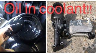 Mercedes | Oil cooler (oil mix in coolant) | OM651 220,250CDI