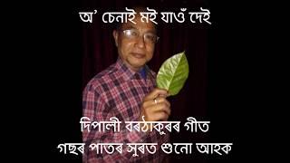 O Chenai Moi Jau Dei / Tree Leaf Cover by :- Sushil Lahon