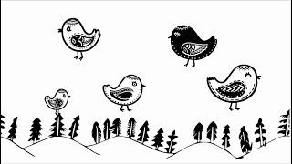 Baby Sensory | Black White High Contrast | Calming Fun classical music video | Scandi birds