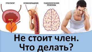 Не стоит член. Что делать?