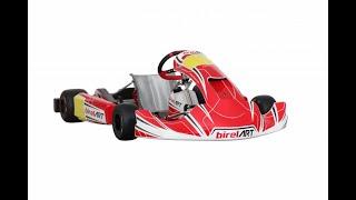 Birel RY30 Build