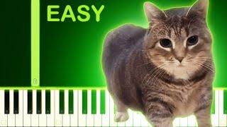 OIIAOIIA CAT MEME SONG - EASY Piano Tutorial