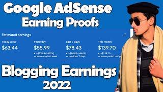 Google AdSense Earning Proof | Blogging Earning Proof 2022 | Website Earning Proof