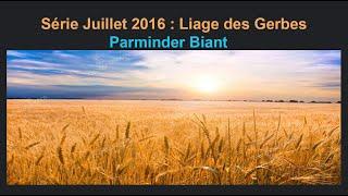 Série juin 2016: 11. PB: Le Liage du Bon Grain et de l'Ivraie