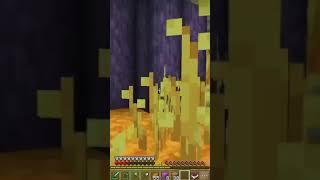 end update 2.0 #minecraft #shorts #Besm-Pie #Besm-Pie #Besm_Pie #BesMC #InkBesm