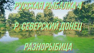 Русская рыбалка 4 • р. Северский Донец разнорыбица • рр4 Турниры с призами от ЧокопайТВ