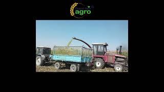 Corn harvest, silage #corn #agro #harvest