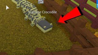 How To Get The Siamese Crocodile In Creature Tycoon