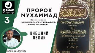 Лекция 3. Пророк Мухаммад ﷺ -Внешний облик