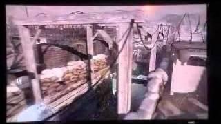 call of duty modern warfare 2