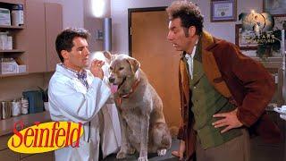 Kramer's gets himself checked by a vet | Seinfeld (1989)