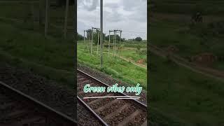 By discovering nature, you discover yourself #naturelovers #trainjourney  #samjhawansong