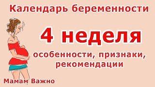 4 неделя беременности: особенности, изменения, рекомендация