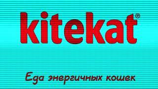 Аdvertising  Реклама Китикет Kitekat   Борис поймал пчелу In For Drums