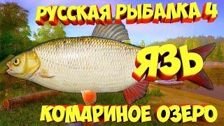 русская рыбалка 4 - Язь озеро Комариное - рр4 фарм Алексей Майоров