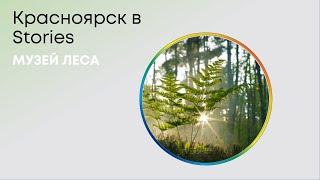 Красноярск в Stories. Музей леса