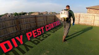 Affordable DIY Pest Control in your Lawn