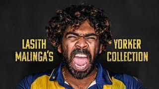 Lasith Malinga, the king of yorkers