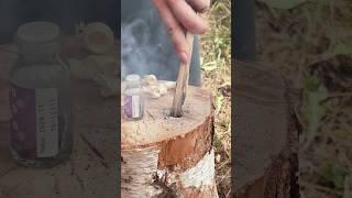 Survival Skills: Chemical Reaction that could SAVE your Life! #survival #camping #fire #permanganate