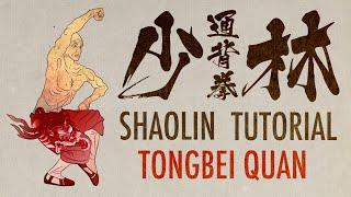 Full Tutorial for Shaolin Da Tongbei Quan