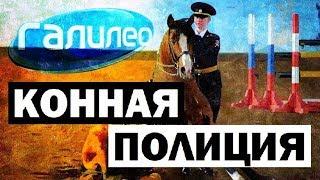 Галилео. Конная полиция  Mounted police