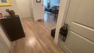 Fogelman Cribs contest entry. The Edison Apartments